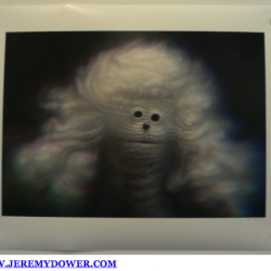 jeremys dowers  dead dogs on the wall